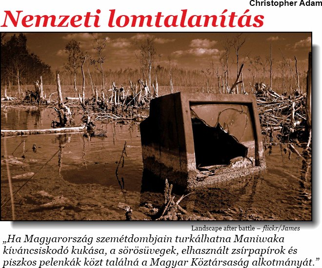 Christopher Adam: Nemzeti lomtalanítás